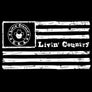 Livin' Country Flag Snapback Cap