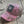 Livin' Country Chicken Realtree Pink Mesh Patch Hat