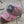 Livin' Country Horse Realtree Pink Mesh Patch Hat