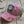 Livin' Country Sheep Realtree Pink Mesh Patch Hat